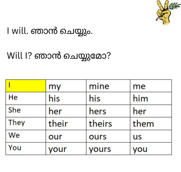 Image3