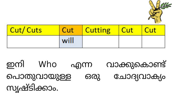 Image12