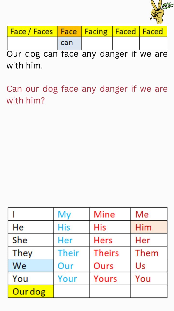 Image19