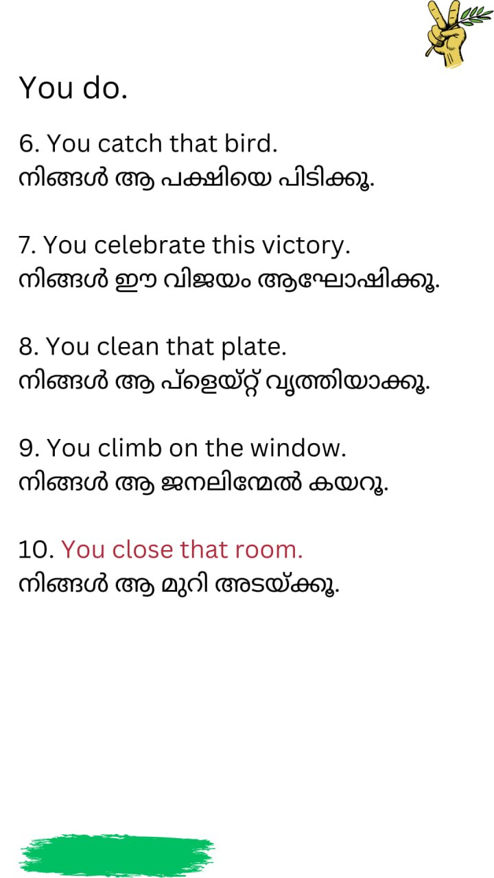 Image14