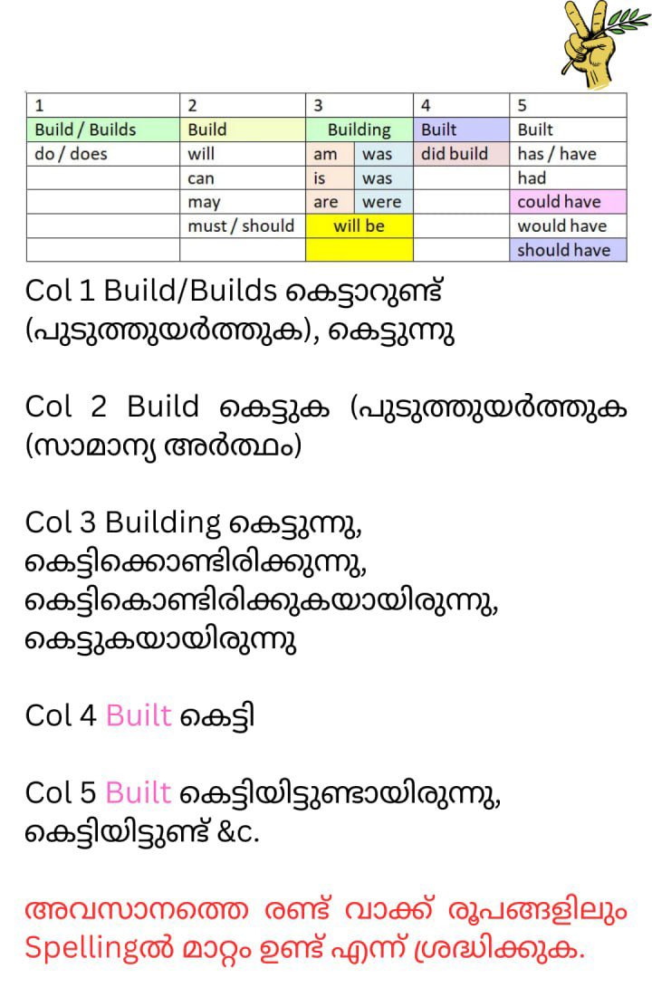 Image3