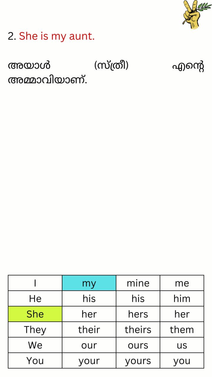 Image46