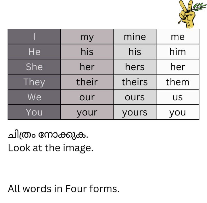 Image3