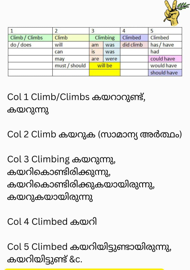 Image3